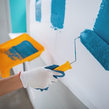 How Does Warranty Coverage Add Value to Professional Painting Services?